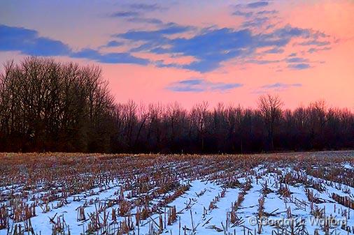 Winter Field At Sunrise_33376.jpg - Photographed near Smiths Falls, Ontario, Canada.